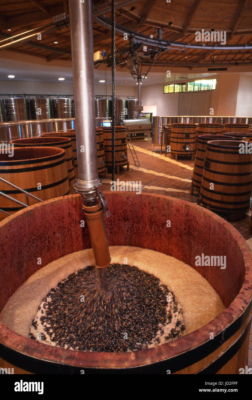 Appena raccolto Pinot Nero versando in una botte di rovere in hi-tech automatizzato Sablière La cantina di Louis Jadot, Beaune, Côte d'Or, Francia. Foto Stock