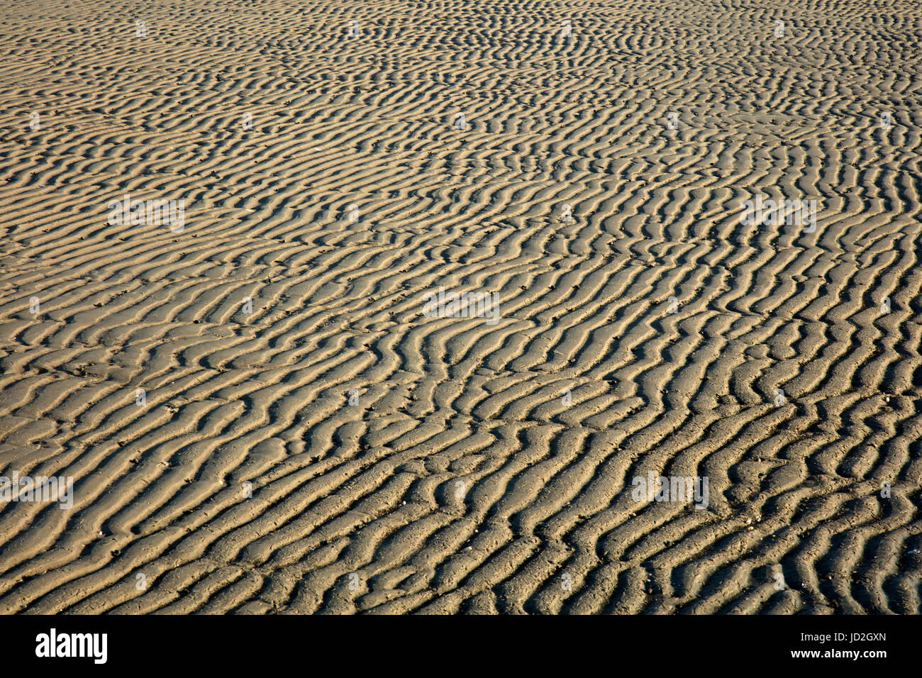 Contrassegni di ondulazione sulla spiaggia, Delaware bay, New Jersey Foto Stock