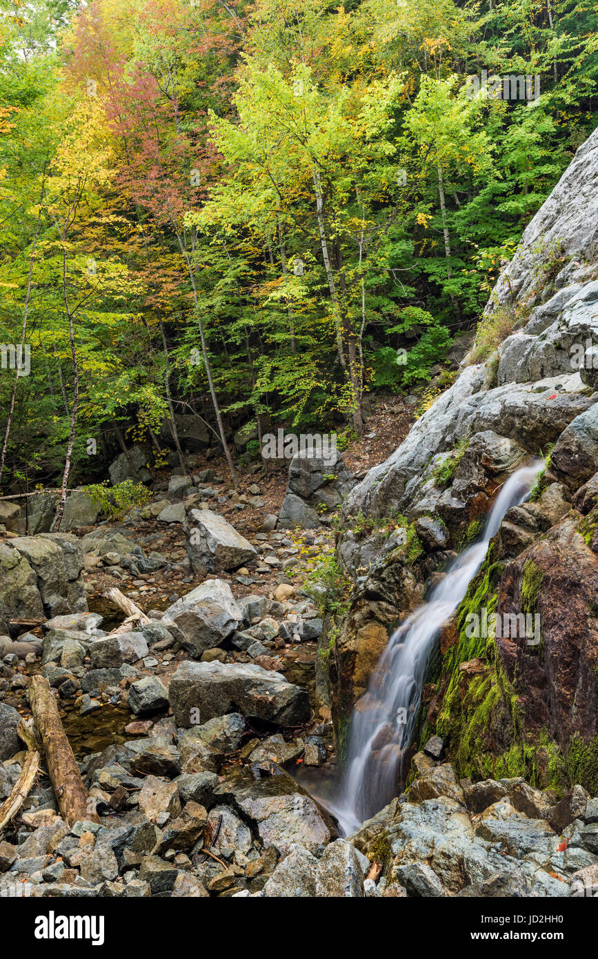 Una sezione del multi-tiered Roaring Brook Falls, Giant Mountain Wilderness, Adirondack Park alti picchi Regione, Essex Co., NY Foto Stock