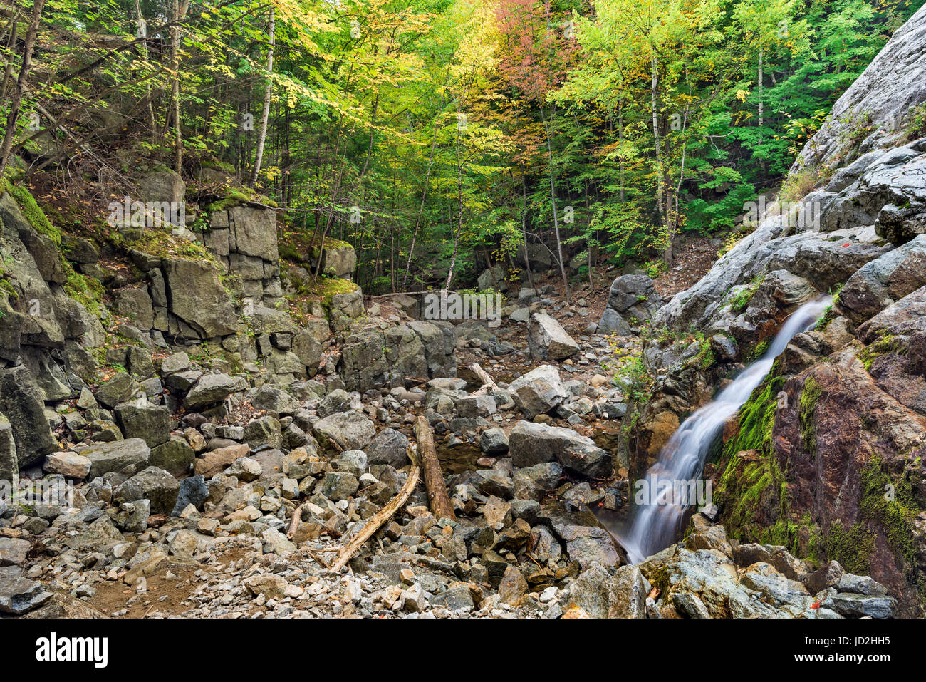 Una sezione del multi-tiered Roaring Brook Falls, Giant Mountain Wilderness, Adirondack Park alti picchi Regione, Essex Co., NY Foto Stock