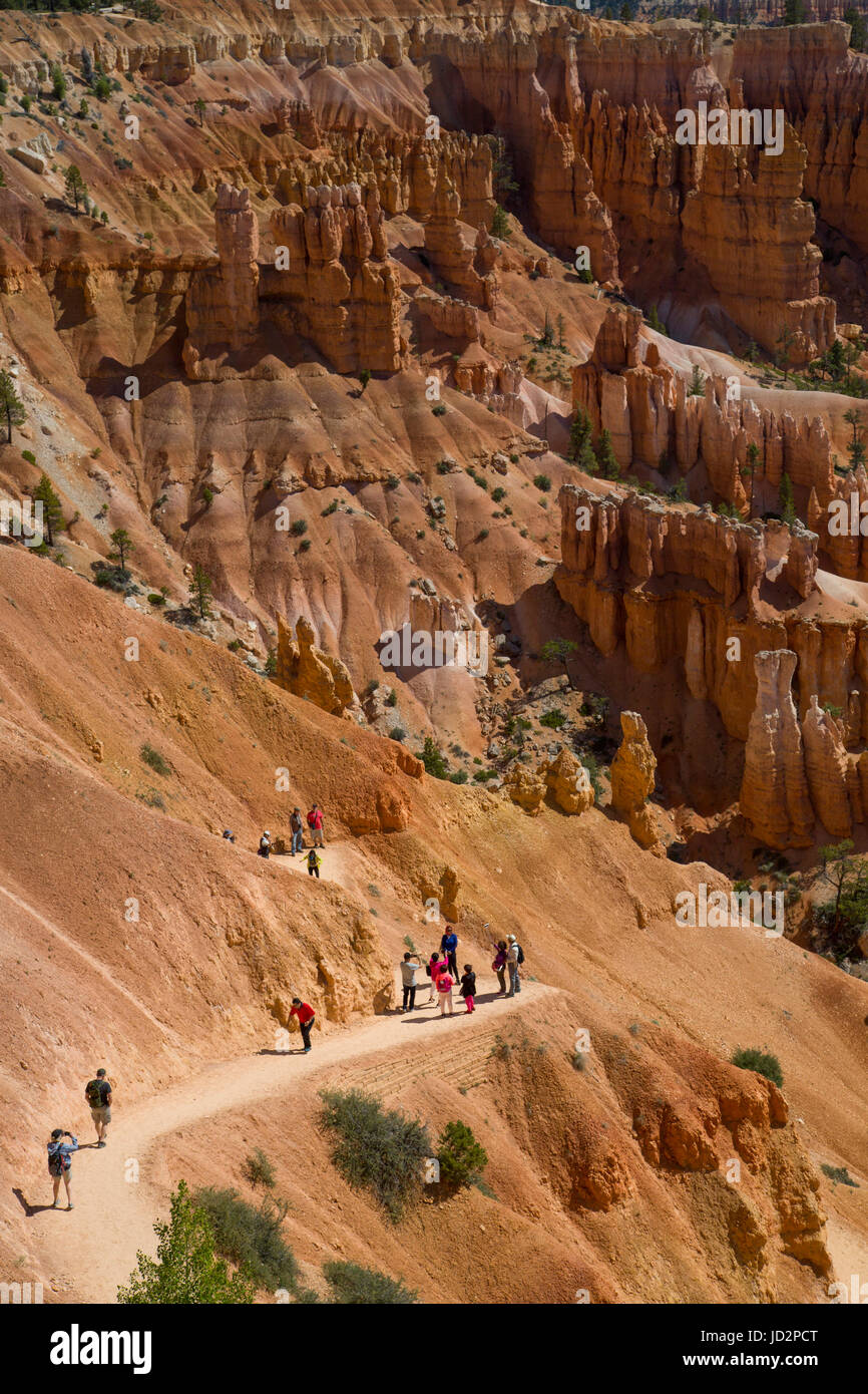 Escursionismo il Queens Garden Trail, Parco Nazionale di Bryce Canyon, Utah, Stati Uniti d'America Foto Stock