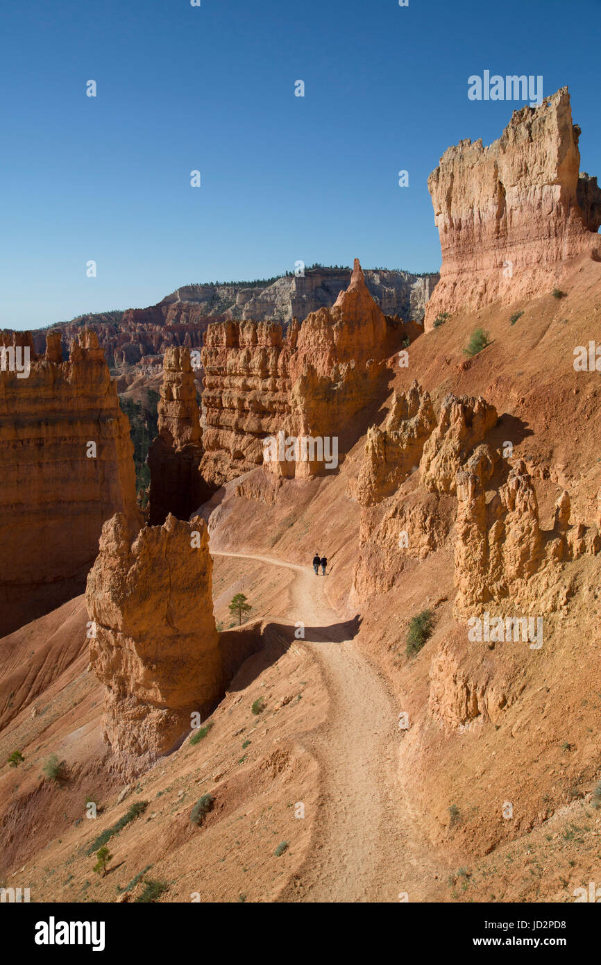 Escursionismo il Queens Garden Trail, Parco Nazionale di Bryce Canyon, Utah, Stati Uniti d'America Foto Stock