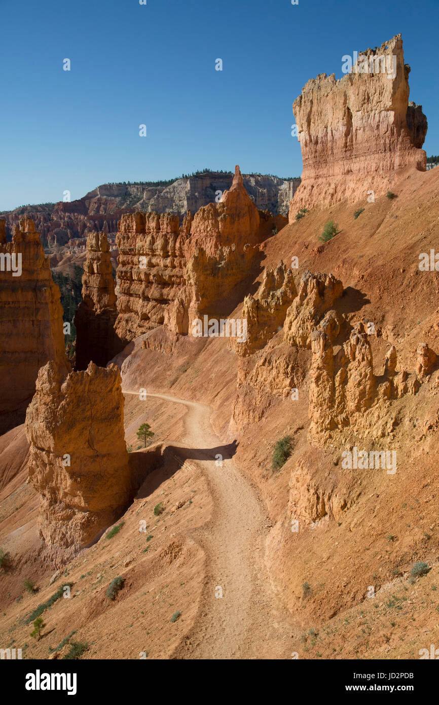 Queens Garden Trail, Parco Nazionale di Bryce Canyon, Utah, Stati Uniti d'America Foto Stock