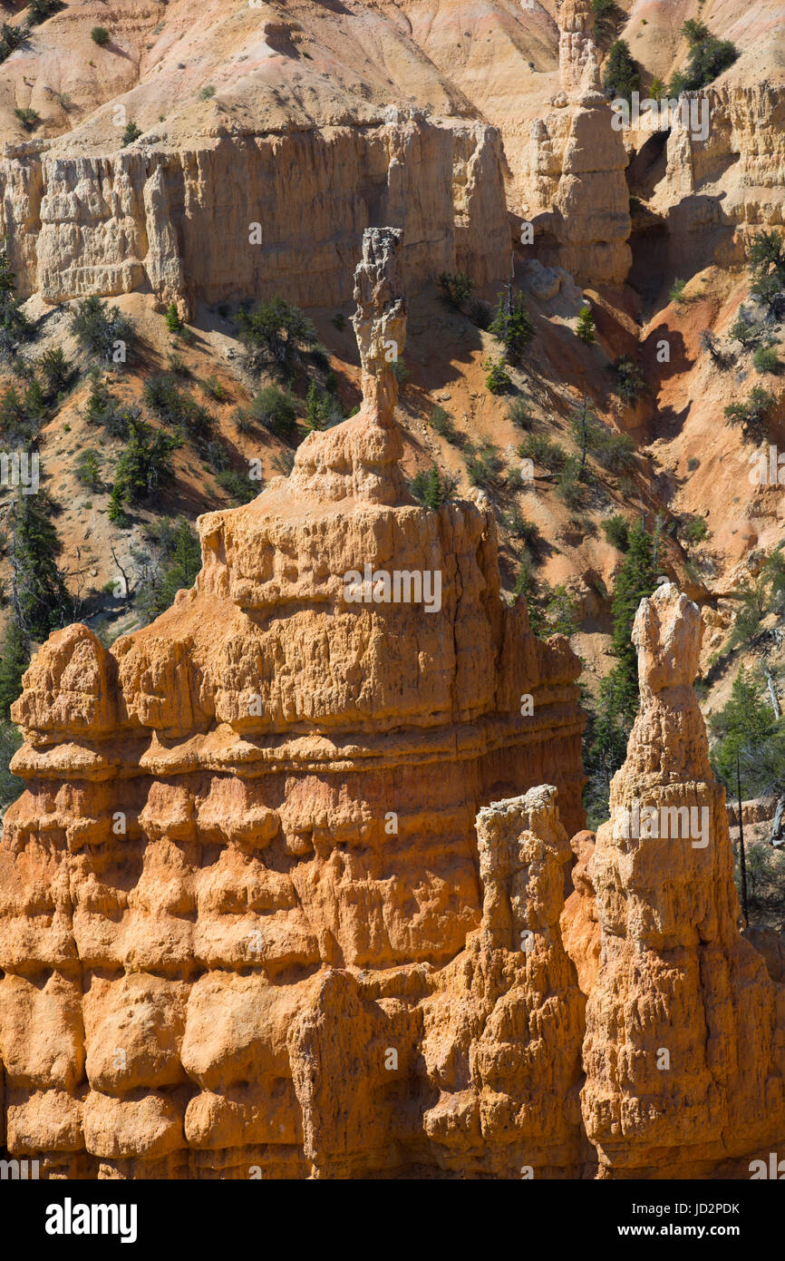 Dal Fairyland Canyon Trail, Parco Nazionale di Bryce Canyon, Utah, Stati Uniti d'America Foto Stock