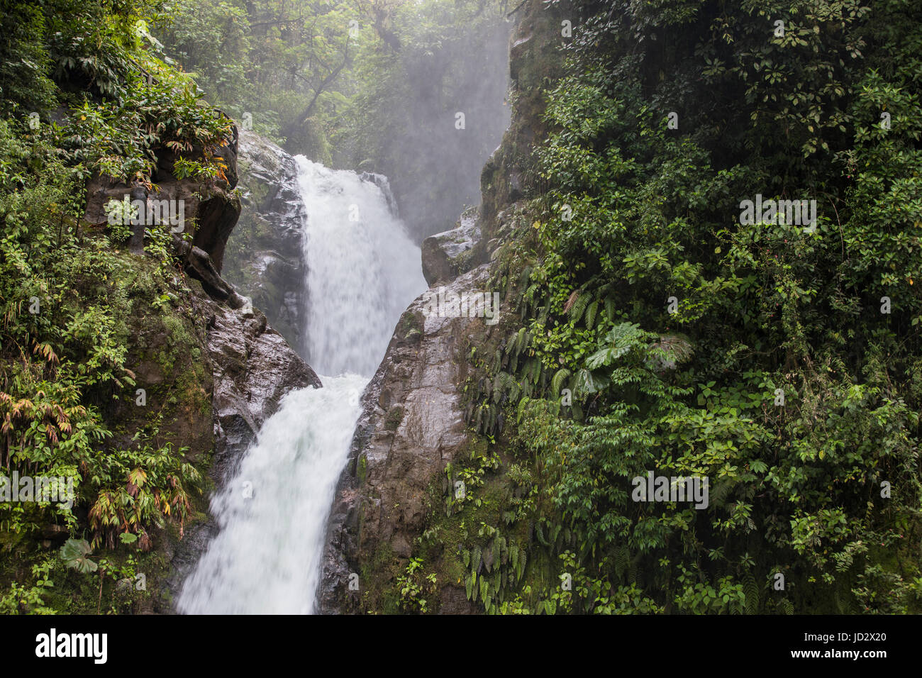 Costa Rican cascata "La Paz' Foto Stock