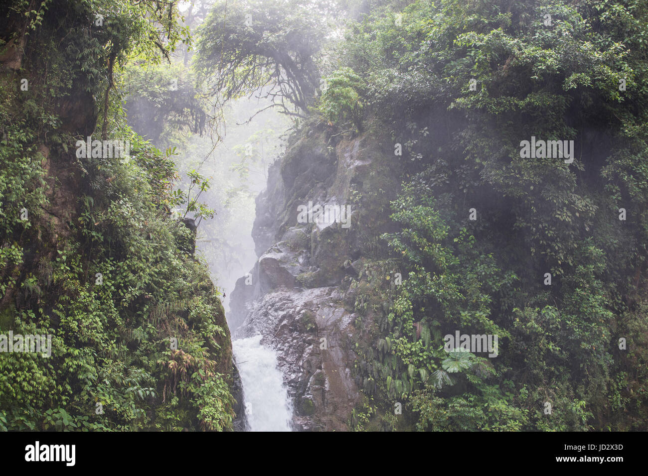 Costa Rican cascata "La Paz' Foto Stock