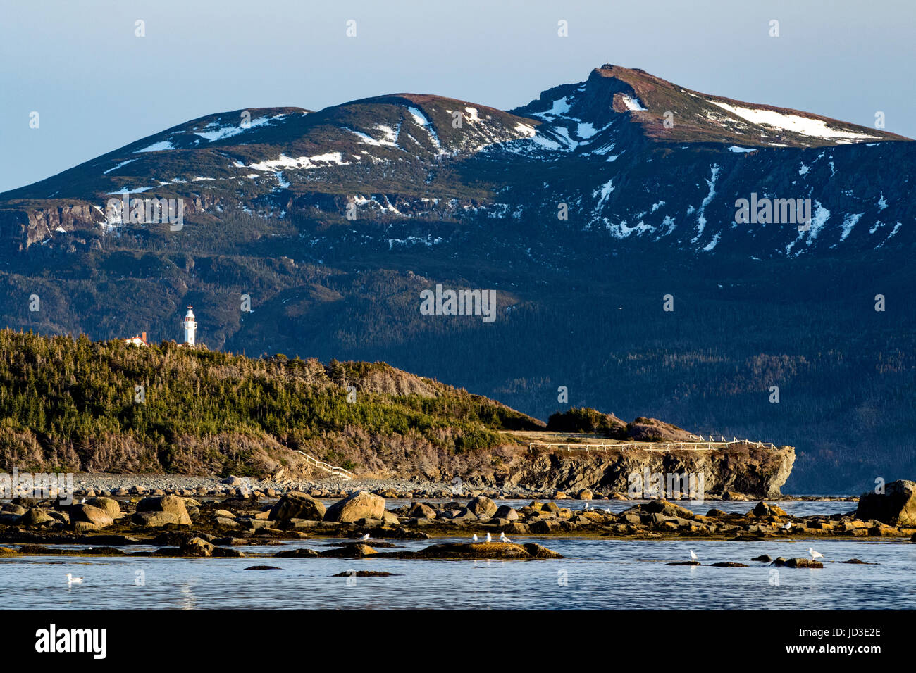 Lobster Cove Capo Faro - Parco Nazionale Gros Morne, Rocky Harbour, Terranova, Canada Foto Stock