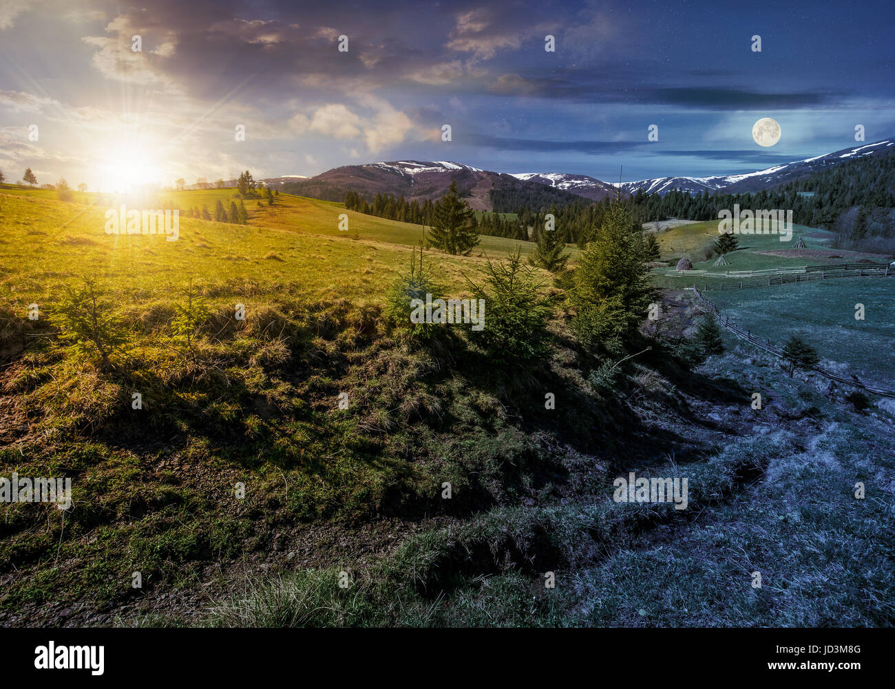 Carpazi crinale montuoso con vette innevate. Grassy prato alpino con foreste di abete rosso nella stagione primaverile. Il bel tempo con cielo blu e alcune nuvole su Foto Stock