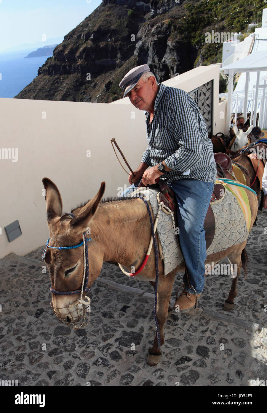 Grecia CICLADI Santorini, uomo a cavallo di un asino Foto stock - Alamy