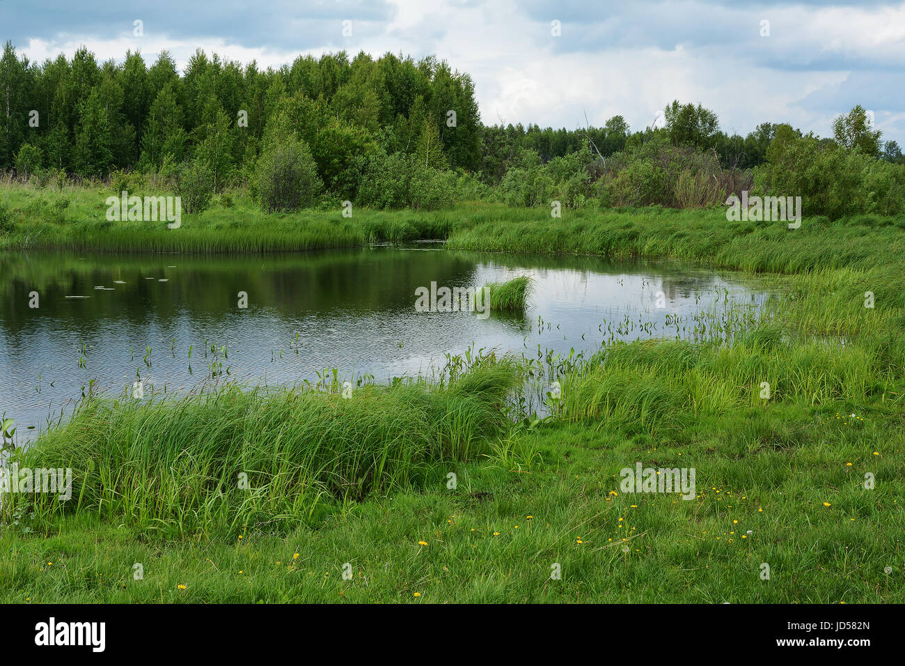 Piscina tranquilla sul fiume Ekitag, Kemerovo Regione. Foto Stock
