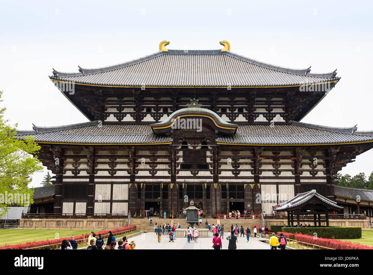 Tōdai-ji, orientale grande tempio, grande buddha hall Foto Stock