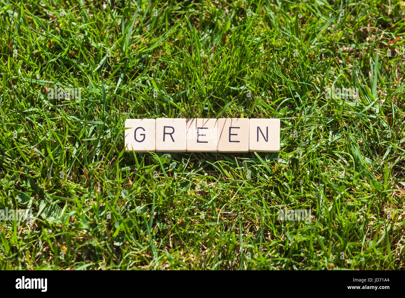 Piastrelle scrabble giacente su erba in giardino Foto Stock