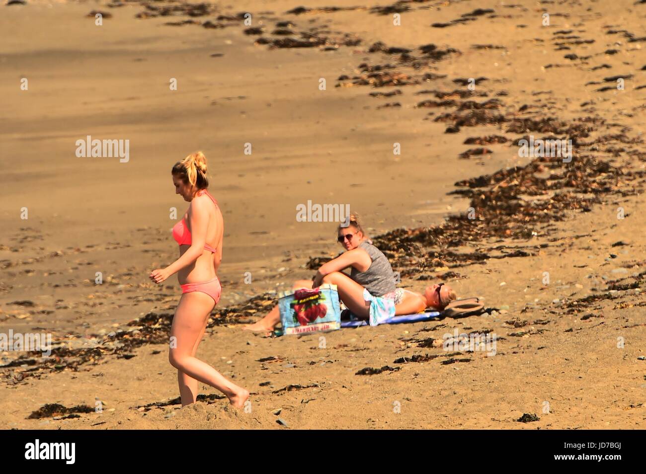 Aberystwyth Wales UK, lunedì 19 giugno 2017 UK Meteo: per coloro che godono di ancora un altro giorno di cielo azzurro e il vertiginoso aumento del calore in Aberystwyth sulla costa occidentale del Galles come il calore di mini-onda continua oltre le isole britanniche. ©keith morris / Alamy vivere nuove Foto Stock