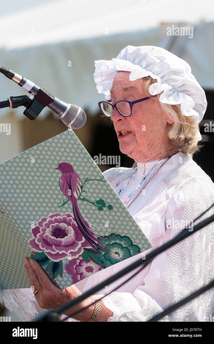 Senior donna che indossa la cucina in stile vittoriano cameriera vestito, permanente e annunciando tenendo premuto il legante dal quale lei legge da. Vista laterale. All'aperto, di sole. Foto Stock