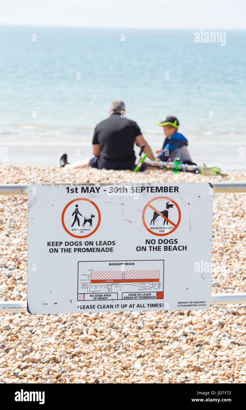 I cani non firmare sul lungomare, Bognor Regis, West Sussex, in Inghilterra, Regno Unito Foto Stock