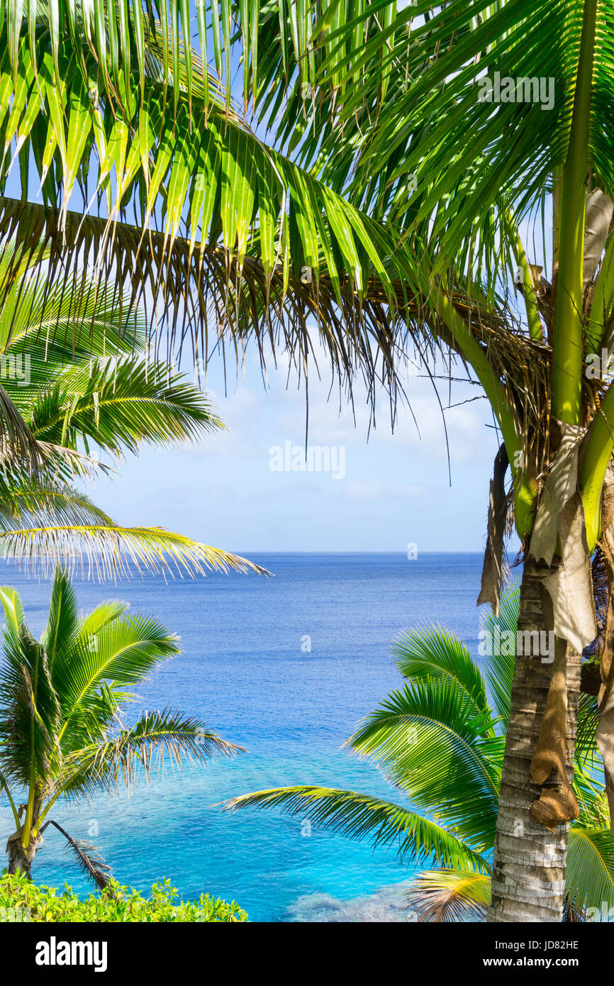 Scena tropicale turchese e blu oceano incorniciato da palme e fronde ondeggianti nel vento su ocean lontano orizzonte. Foto Stock