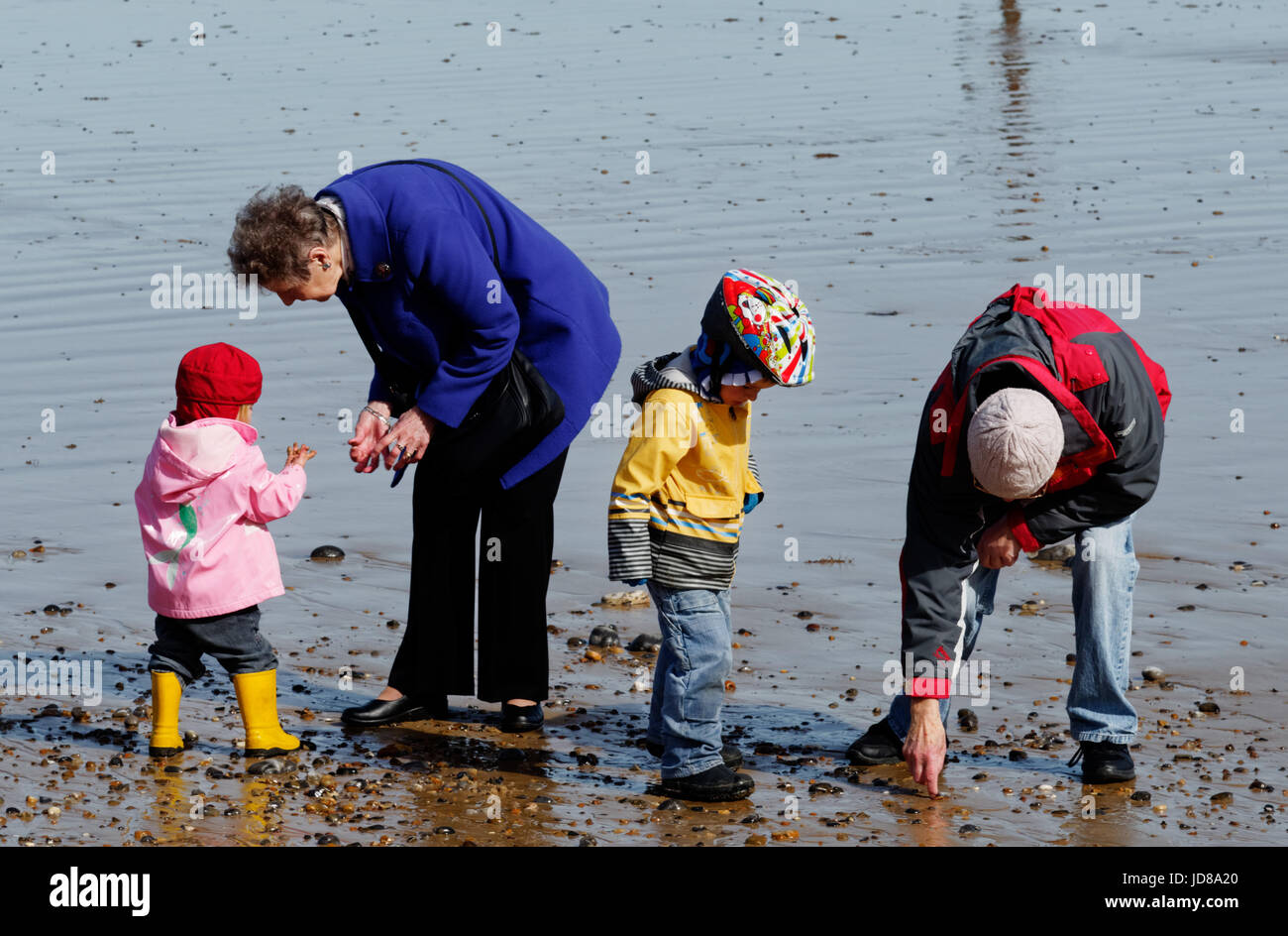 Nonni e nipoti giocando sulla spiaggia Foto Stock