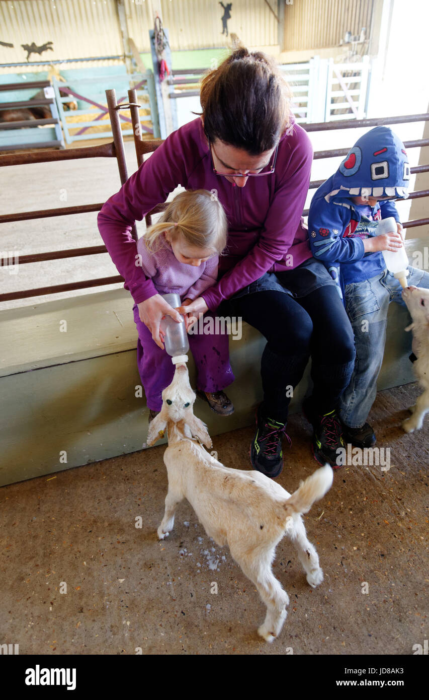 Una bambina e la sua mamma biberon una capra a avventura Putlake Farm nr Swanage nel Dorset Foto Stock