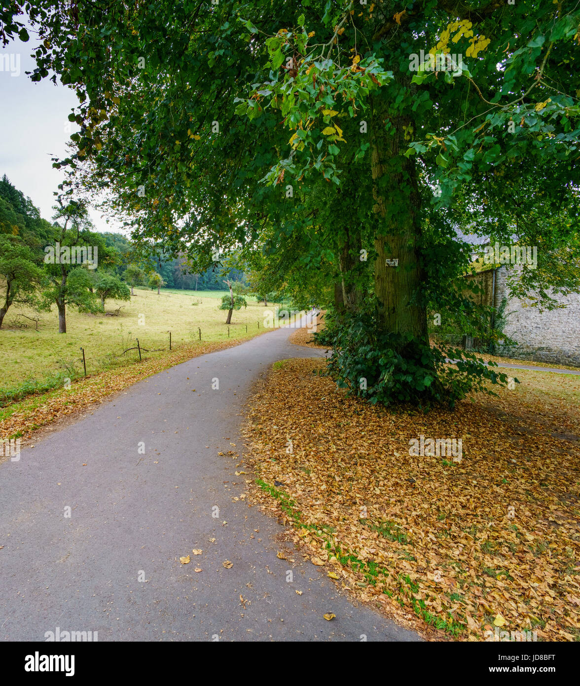 Strada rurale avvolgimento attraverso campi con foglie di autunno sul terreno, Belgio Belgio europa Foto Stock