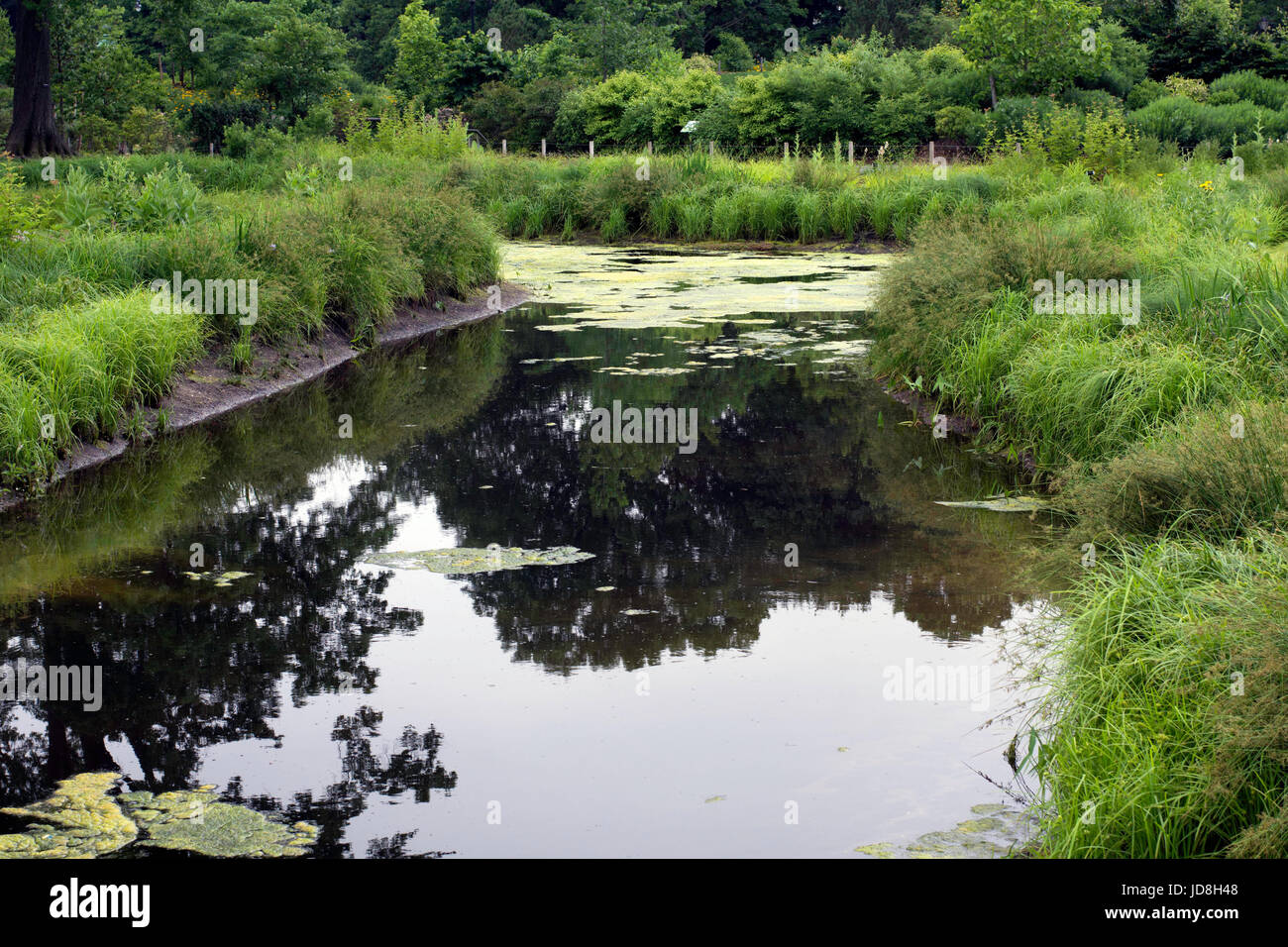 Il Brooklyn Botanic Garden Foto Stock