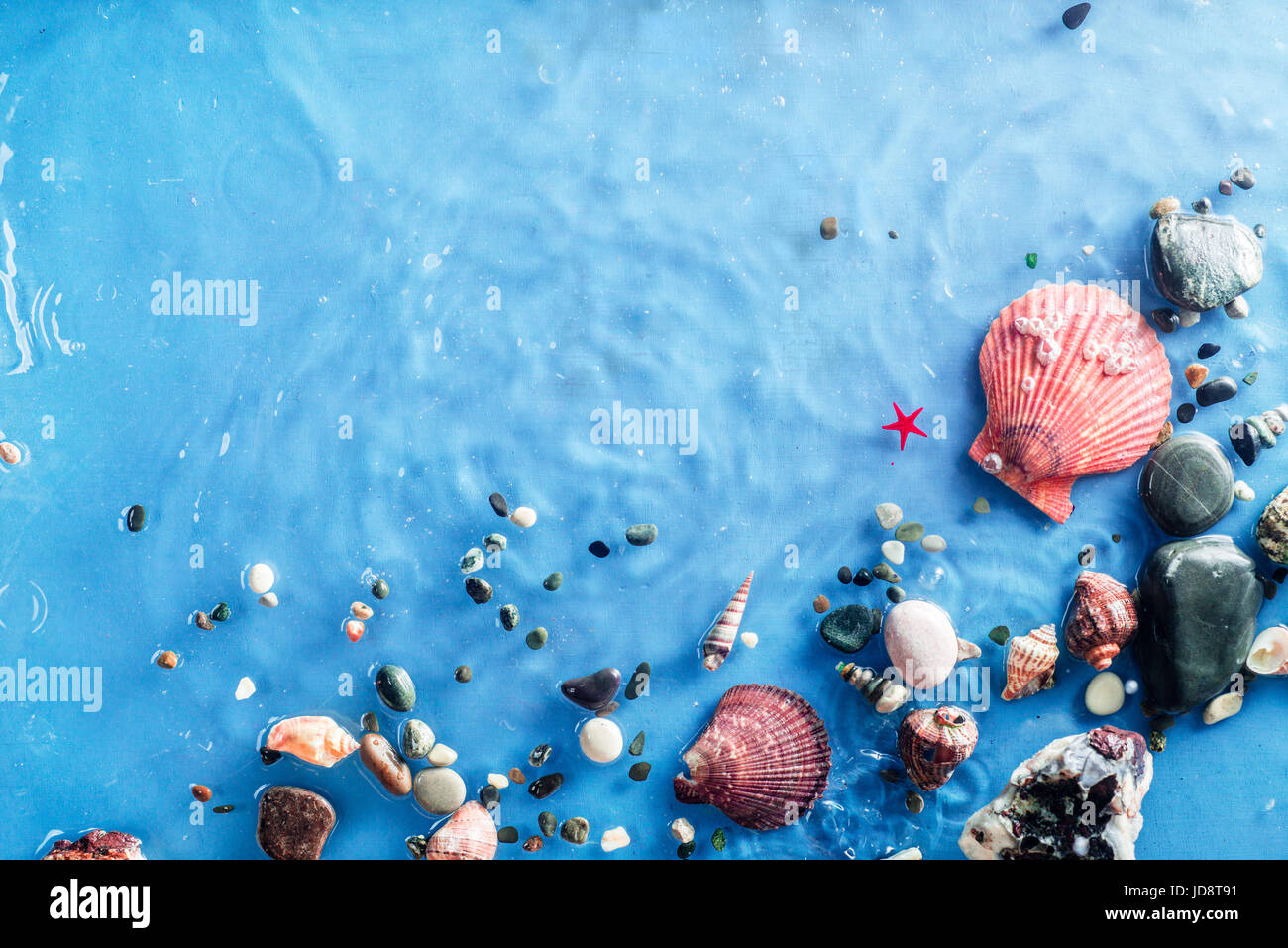 Copia marine space frame con conchiglie, ciottoli, sabbia e un ripple di seawave. underwater ancora in vita. Foto Stock