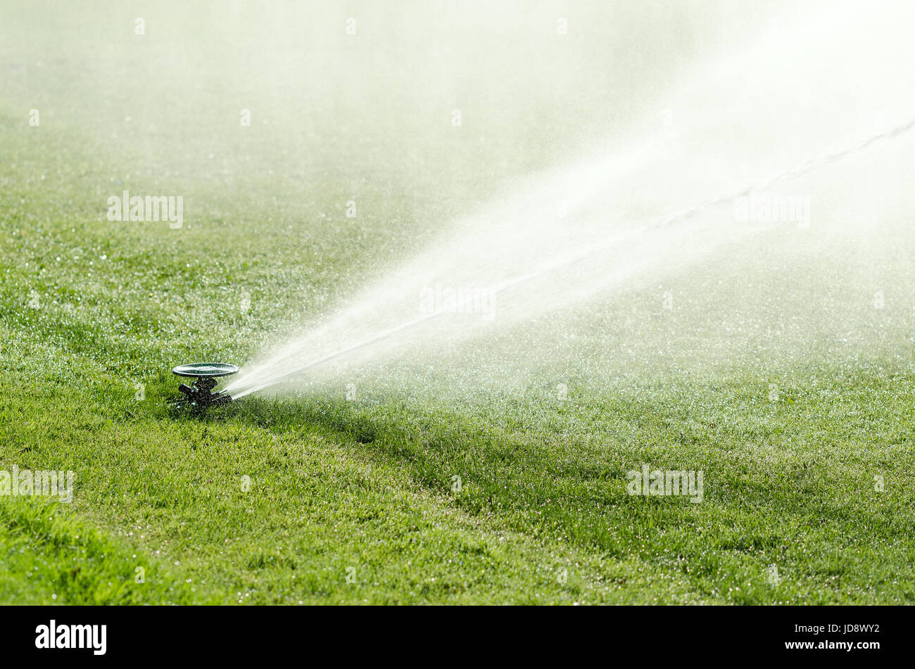 Sprinkler di impatto sul prato in azione. Impulso testina sprinkler con fuori acqua di streaming fontana artificiale sul prato verde in piena luce solare. Foto Stock