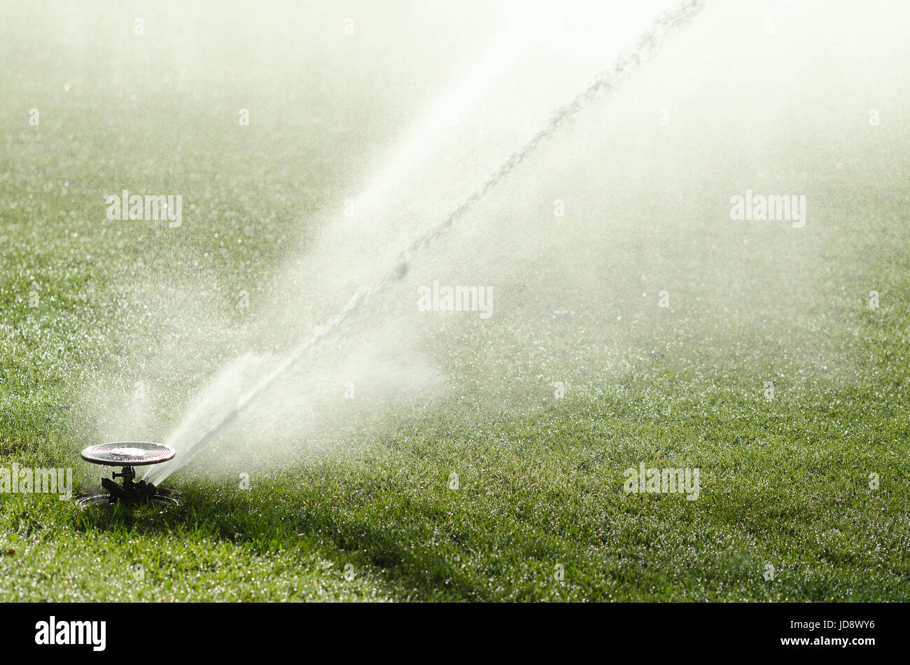 Sprinkler di impatto sul prato in azione. Impulso testina sprinkler con fuori acqua di streaming fontana artificiale sul prato verde in piena luce solare. Foto Stock