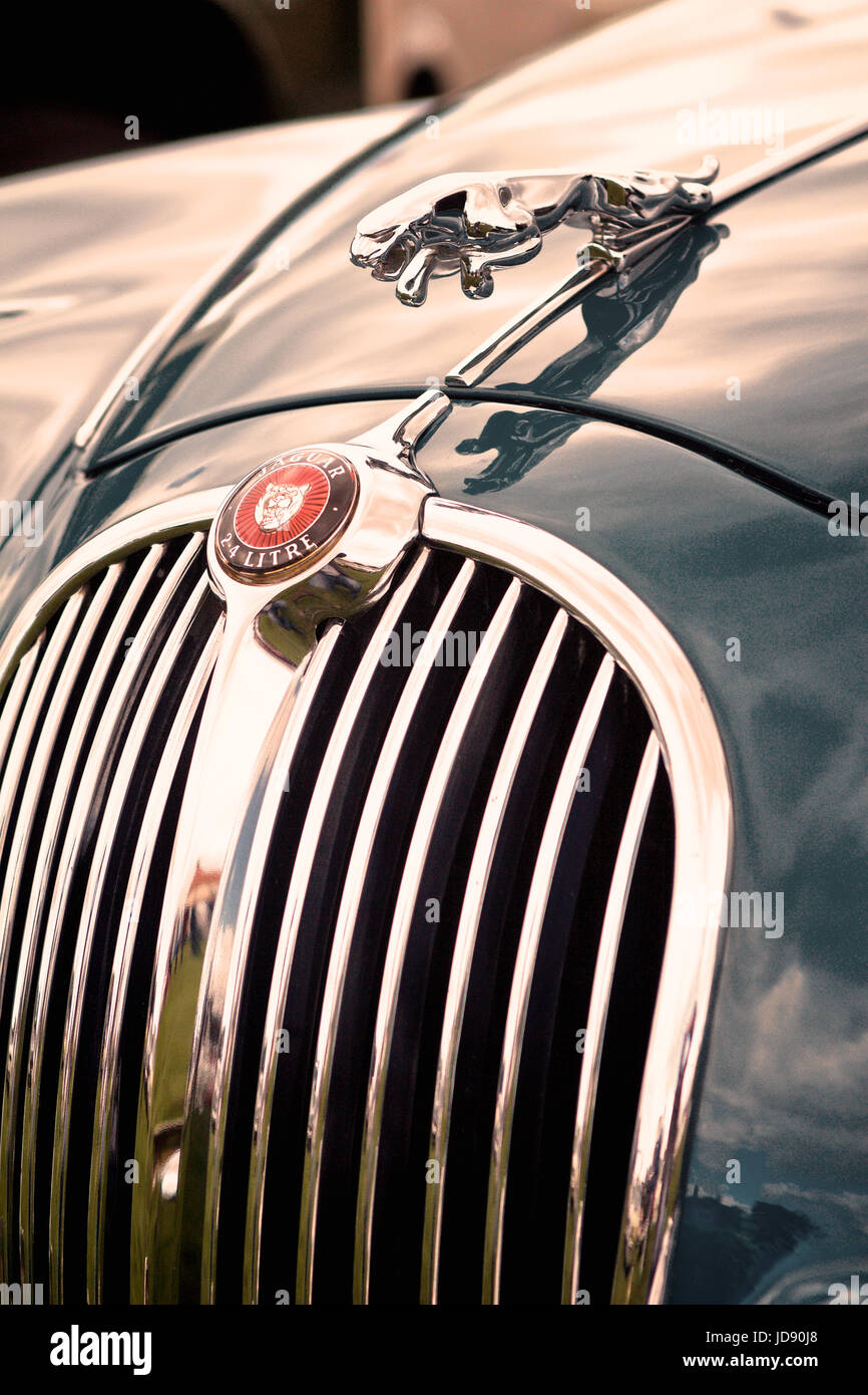 Saltando Jaguar emblema di cofano sul cofano del motore di un classico motore vintage auto. Foto Stock