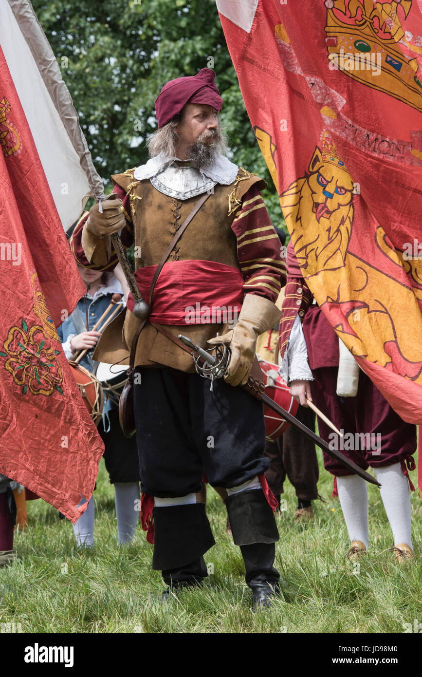Guerra civile inglese royalist soldato portabandiera la preparazione per la battaglia in un Nodo sigillato guerra civile inglese rievocazione storica evento. Charlton park, Wiltshire, Regno Unito Foto Stock
