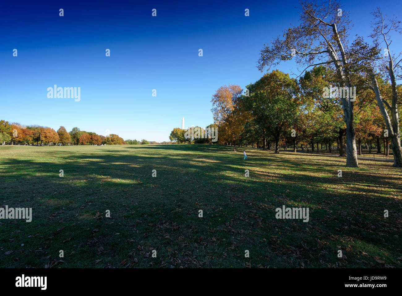 Parco pubblico e l'erba verde da Washington obelisco, Washington DC, USA capitale Washington usa 2016 caduta Foto Stock