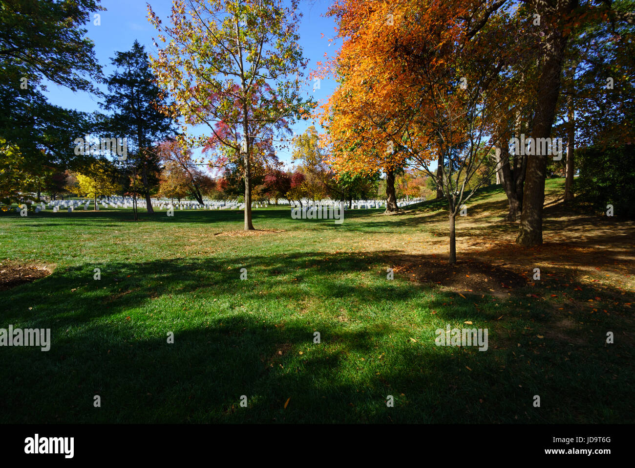 Alberi di autunno e di erba in presenza di luce solare con ombre sul terreno. capitale Washington usa 2016 caduta Foto Stock