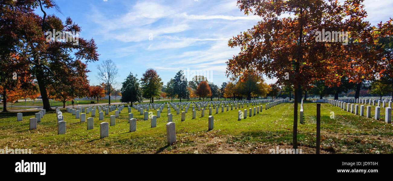 Vista panoramica di grave pietre in righe nel cimitero, STATI UNITI D'AMERICA. capitale Washington usa 2016 caduta Foto Stock
