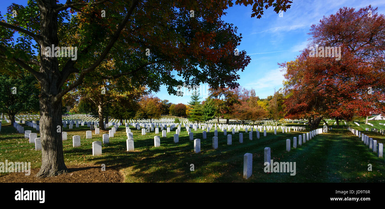Vista panoramica della tomba di pietre e alberi nel cimitero, STATI UNITI D'AMERICA. capitale Washington usa 2016 caduta Foto Stock