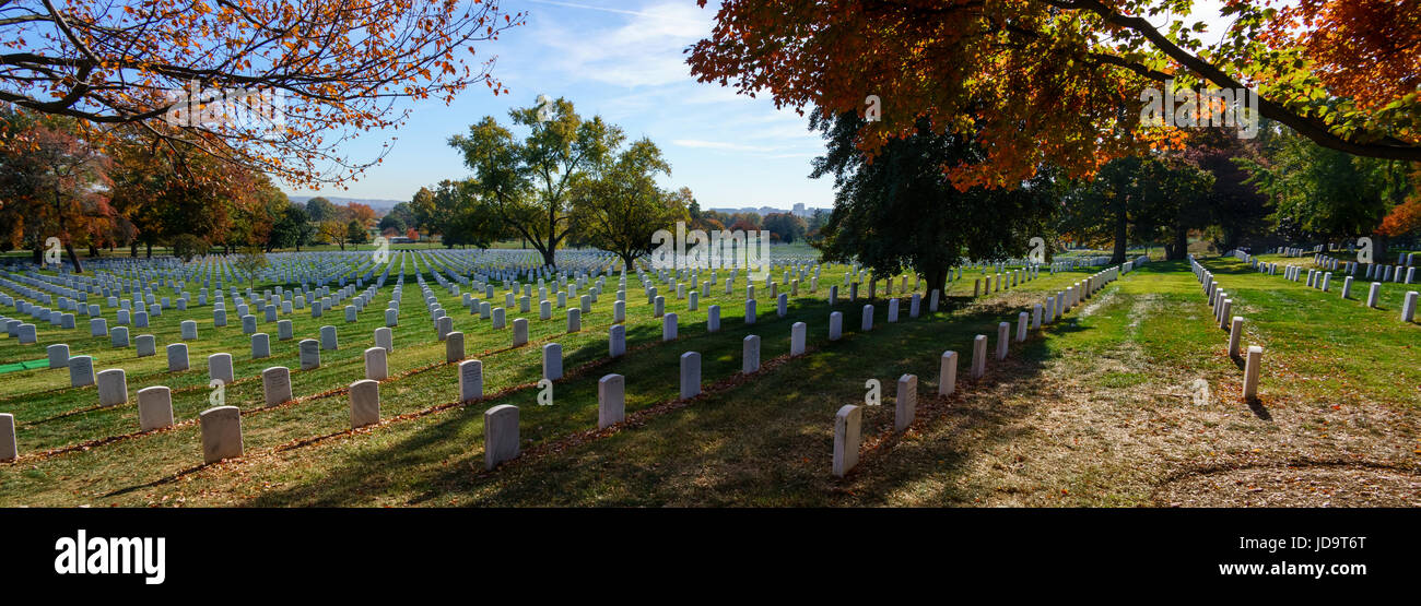 Vista panoramica della tomba di pietre e alberi nel cimitero, STATI UNITI D'AMERICA. capitale Washington usa 2016 caduta Foto Stock