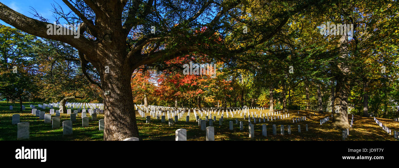 Vista panoramica della tomba di pietre e alberi nel cimitero, STATI UNITI D'AMERICA. capitale Washington usa 2016 caduta Foto Stock