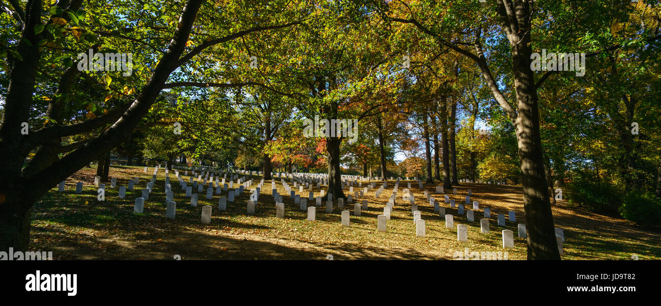 Vista panoramica della tomba di pietre e alberi nel cimitero, STATI UNITI D'AMERICA. capitale Washington usa 2016 caduta Foto Stock