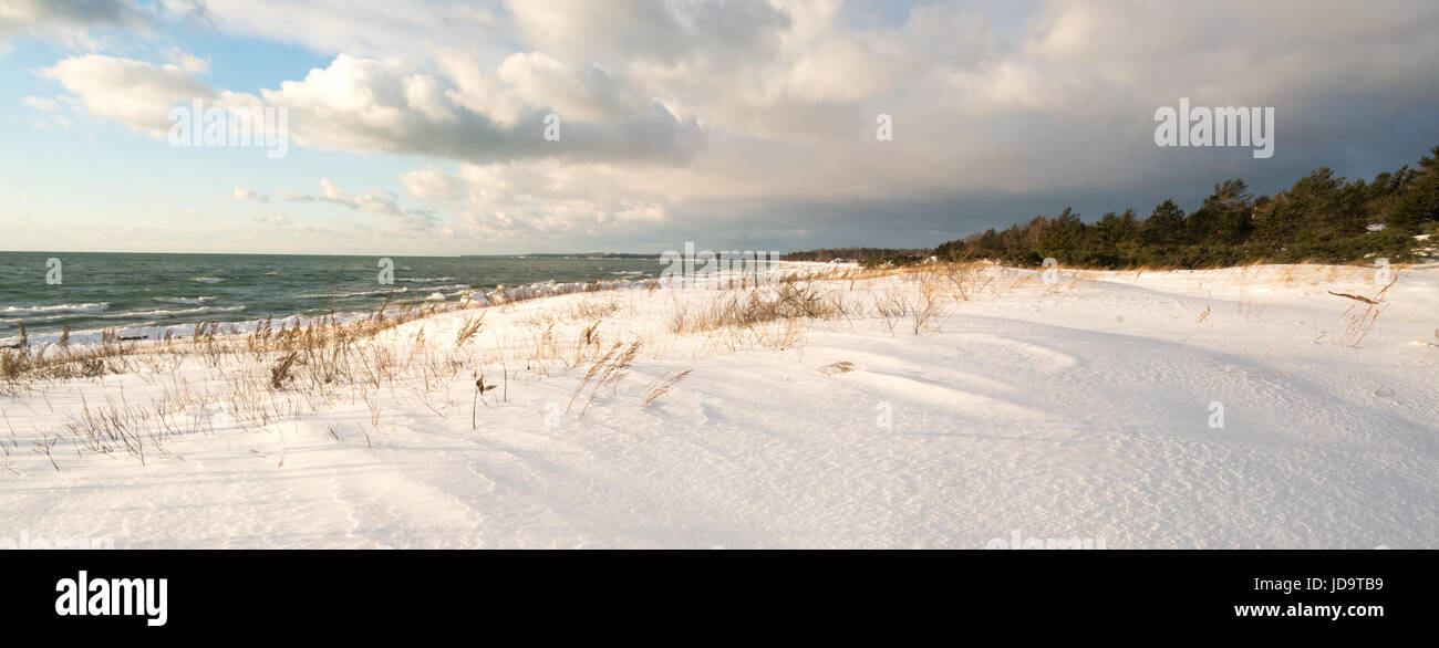 Waters Edge, in paesaggi innevati con neve intatta, le nuvole in cielo ontario canada freddo inverno 2017 snow Foto Stock