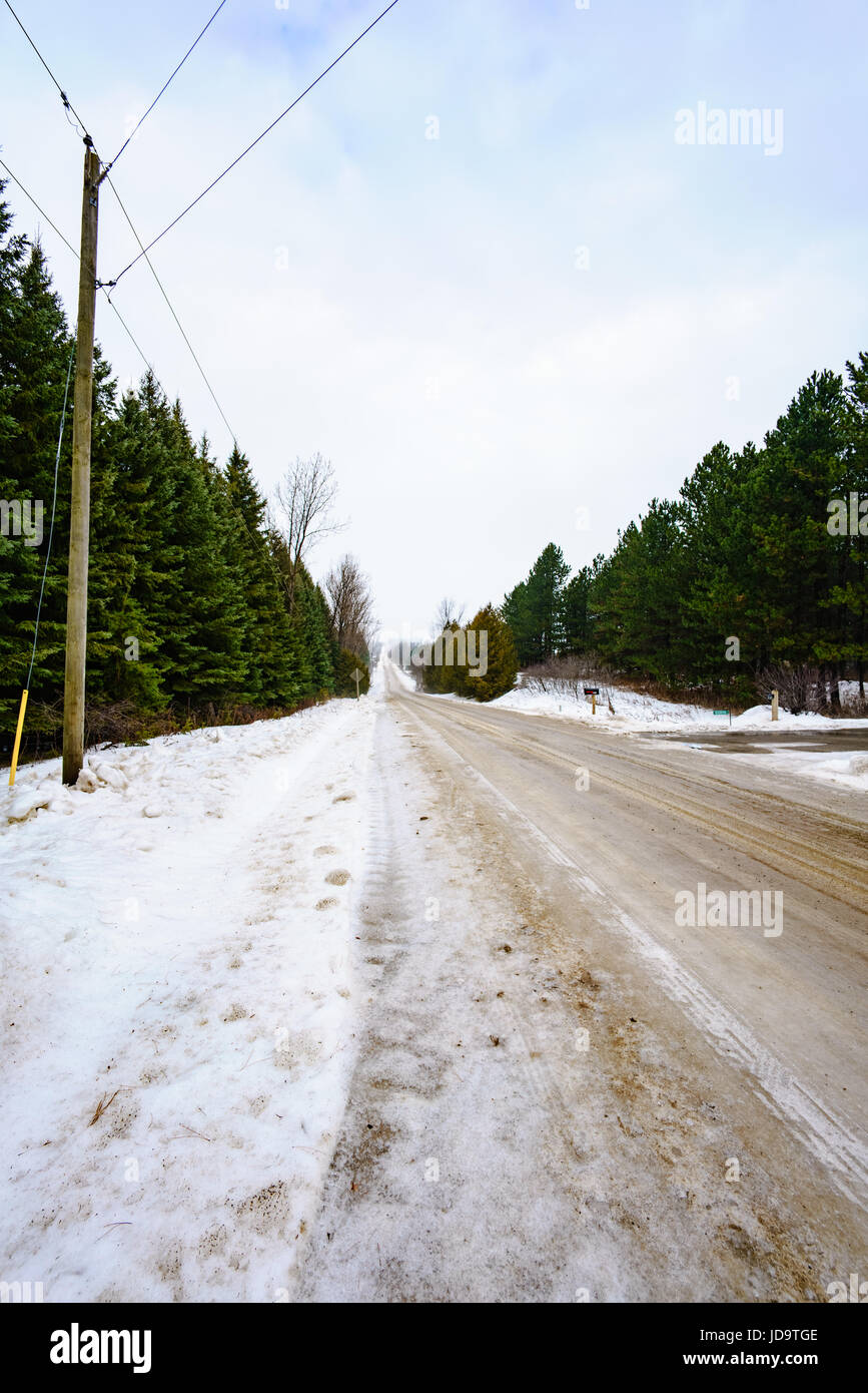 All'aperto, a giorno di strada e gli alberi in inverno, Ontario, Canada ontario canada freddo inverno 2017 snow Foto Stock