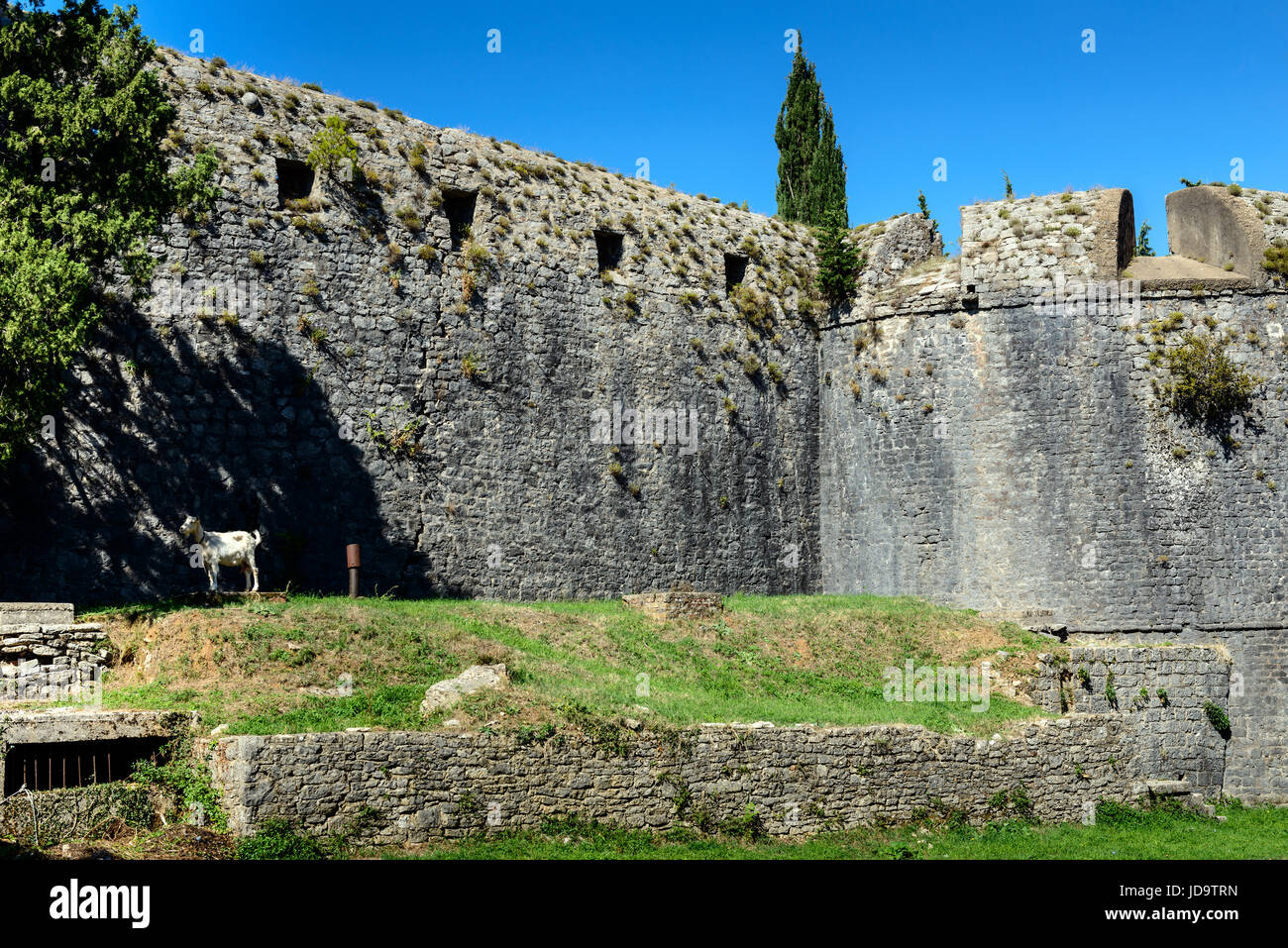 Le rovine della fortezza medievale. Fortezza Shpanola, Herceg Novi, Montenegro, Balcani, Europa Foto Stock