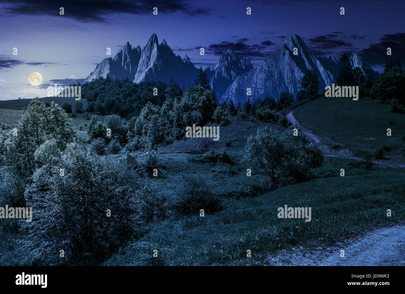 Composito paesaggio estivo. Percorso attraverso la foresta sul pendio erboso in Alti Tatra. bella estate meteo con cielo blu e alcune nuvole di notte Foto Stock