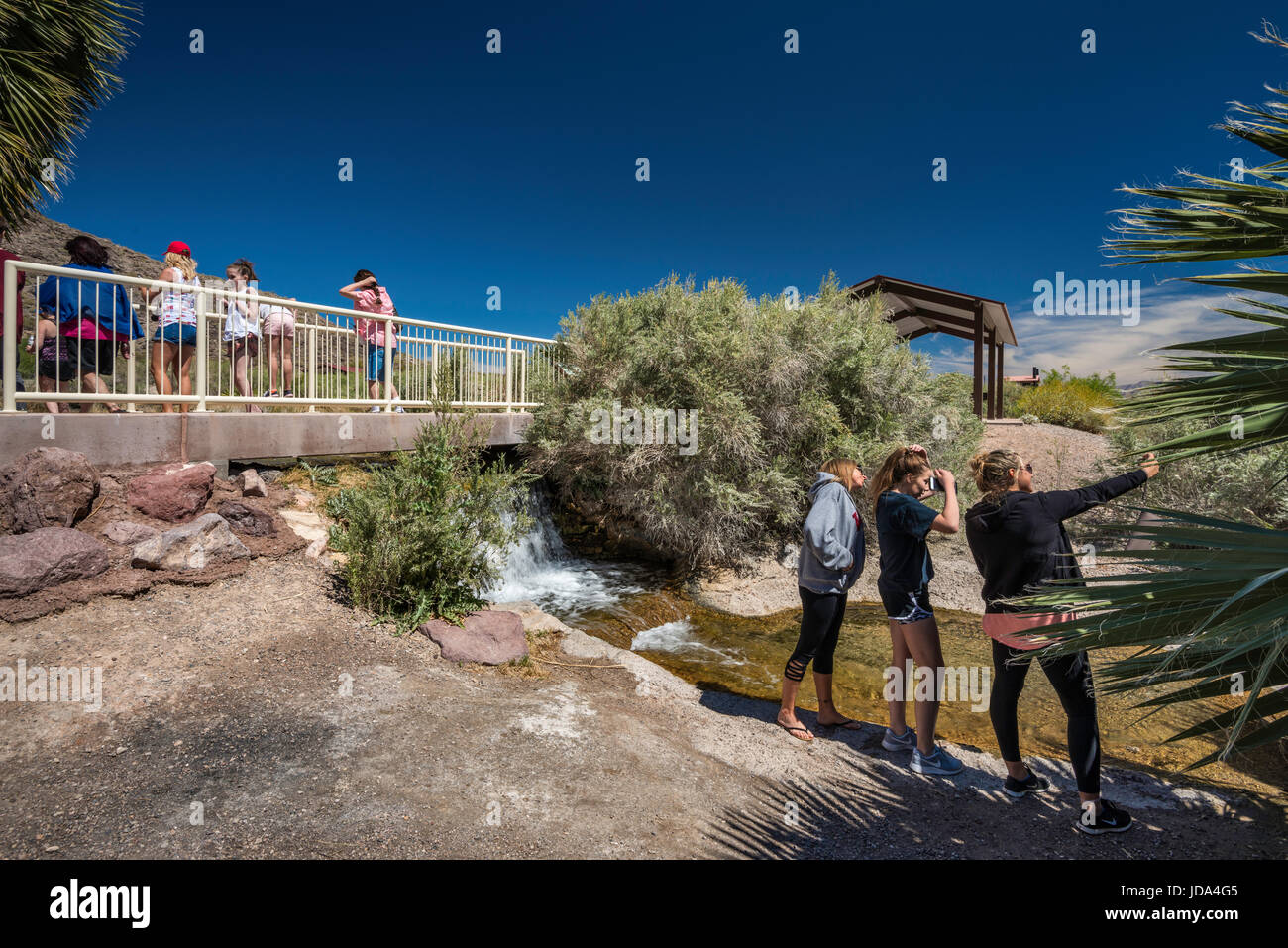 I visitatori a una piccola cascata a molla Rogers, geotermica primavera calda oasi, Northshore Road, Lake Mead National Recreation Area, Nevada, STATI UNITI D'AMERICA Foto Stock