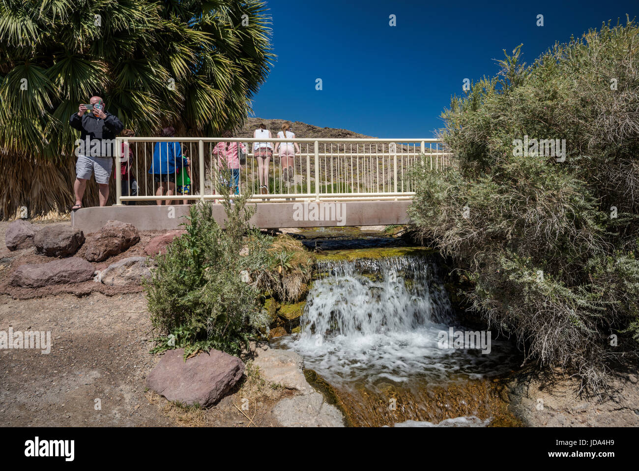 I visitatori a una piccola cascata a molla Rogers, geotermica primavera calda oasi, Northshore Road, Lake Mead National Recreation Area, Nevada, STATI UNITI D'AMERICA Foto Stock