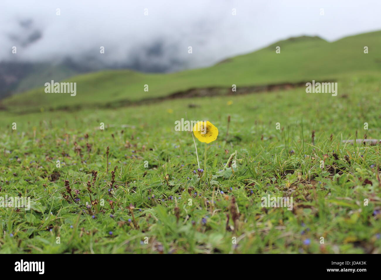 Sono single Foto Stock