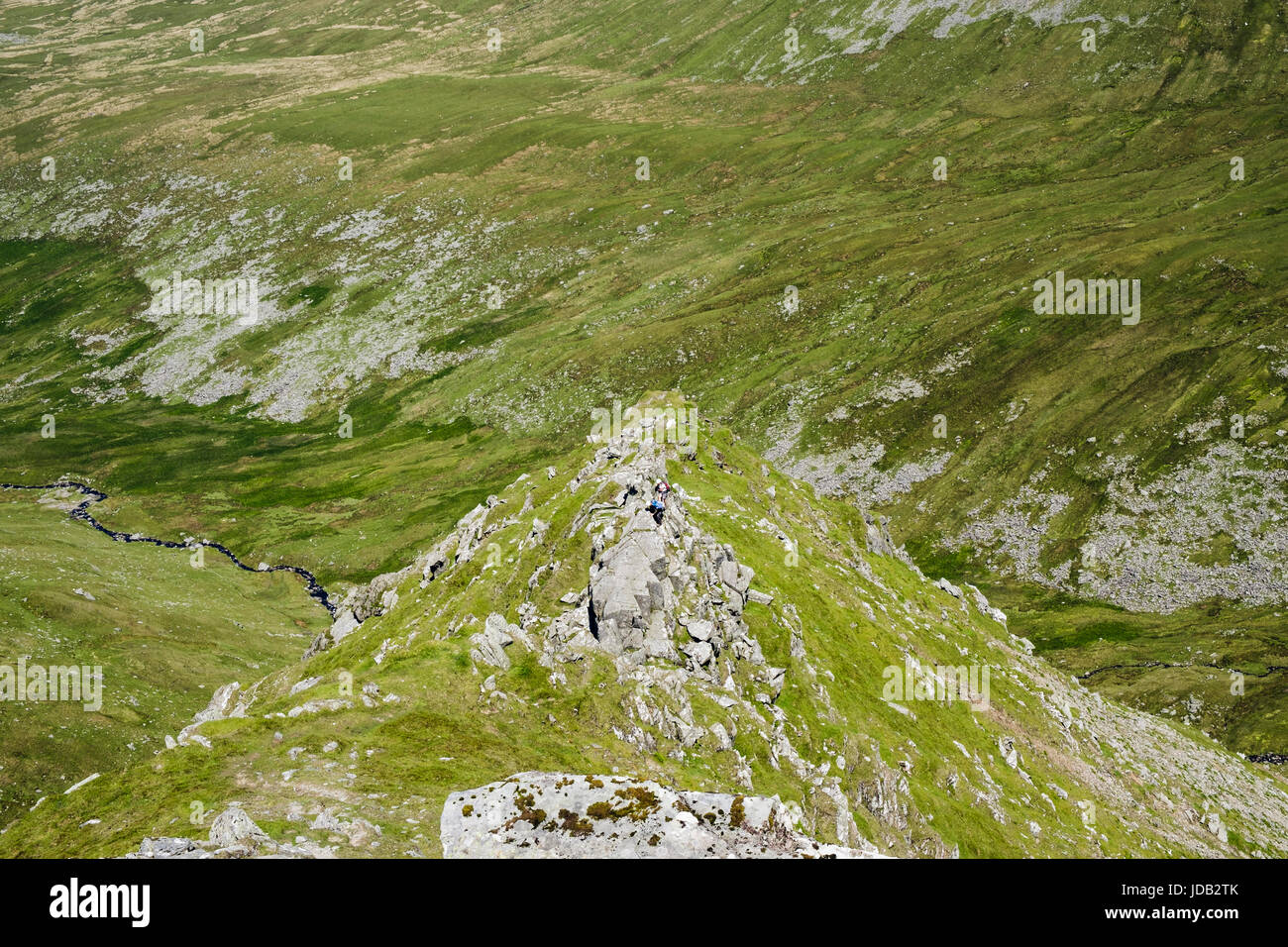 Llech Ddu sperone presepe (Lem) percorso scramble a Carnedd Dafydd sopra Cwm Llafar penna in Carneddau montagne del Parco Nazionale di Snowdonia. Wales UK Gran Bretagna Foto Stock