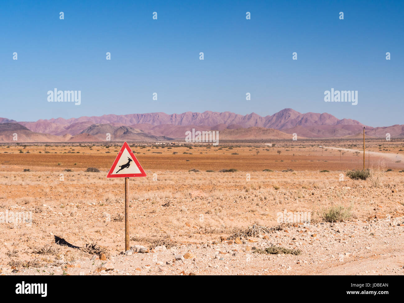 Segnale di avvertimento con simbolo gazelle sulla strada di solitario sul deserto del Namib, Namibia, Africa. Foto Stock