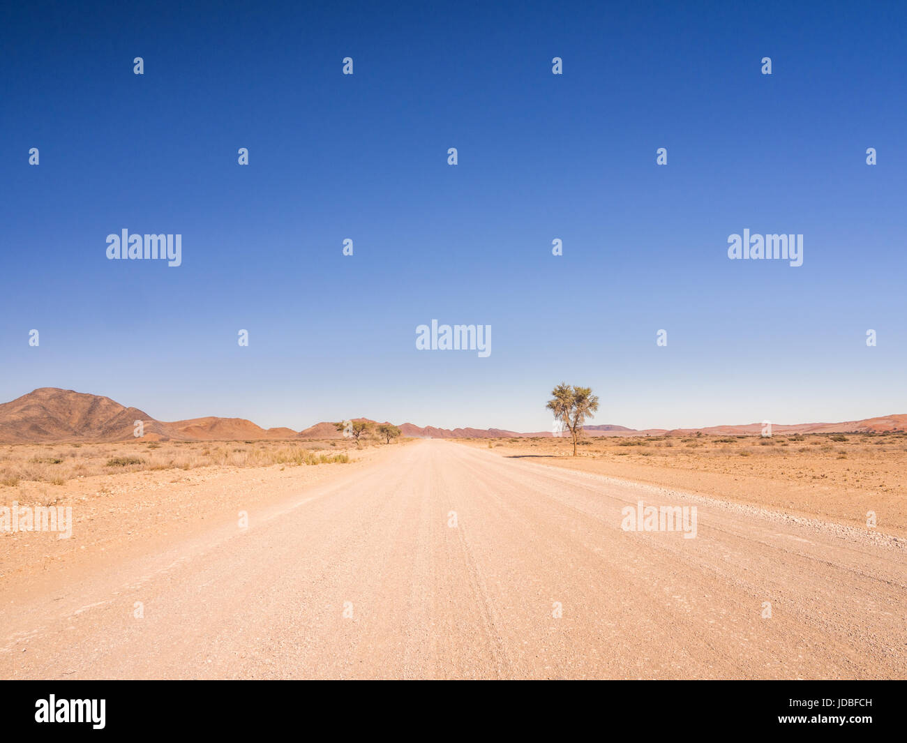 Strada in Namib-Naukluft National Park in Namibia, Africa. Foto Stock