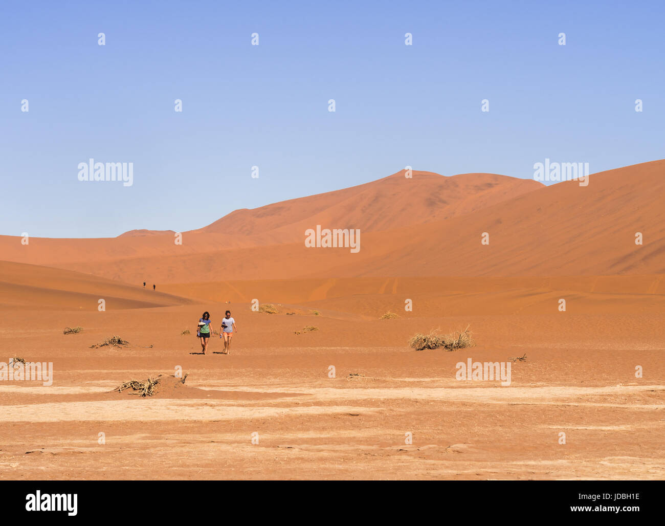 DEAD VLEI, NAMIBIA - Giugno 19, 2016: la gente a piedi Dead Vlei in Namib-Naukluft National Park sul deserto del Namib, Namibia. Foto Stock