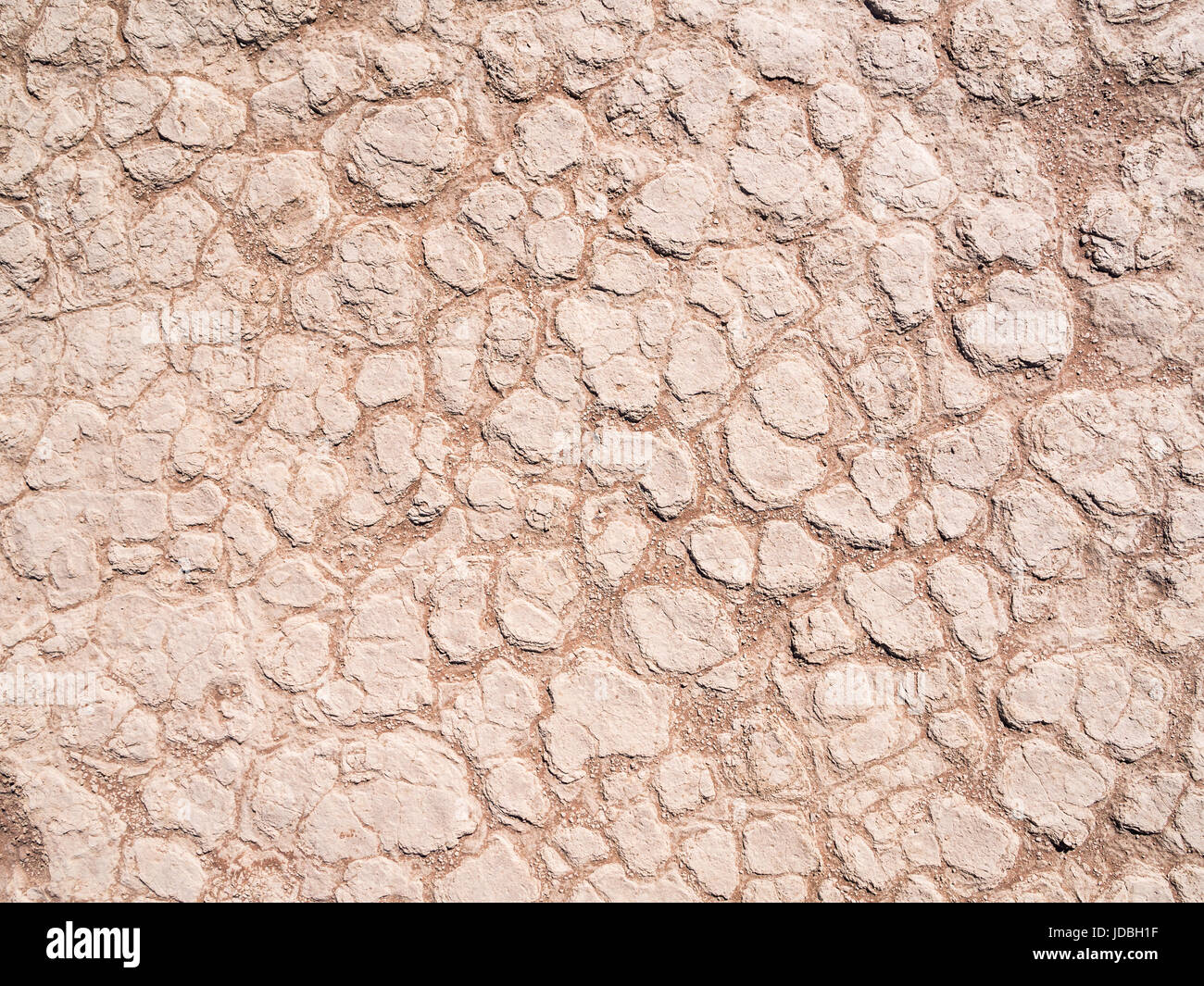 Asciutto terra incrinata sul deserto del Namib, Namibia. Foto Stock