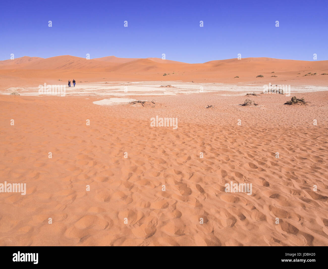 DEAD VLEI, NAMIBIA - Giugno 19, 2016: la gente a piedi Dead Vlei in Namib-Naukluft National Park sul deserto del Namib, Namibia. Foto Stock