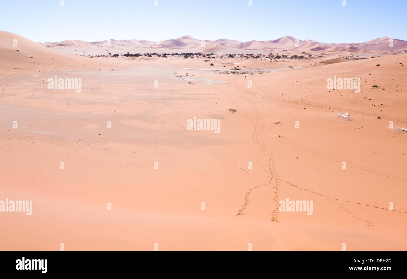 Landcsape intorno Dead Vlei sul deserto del Namib, Namibia. Impronte sulla sabbia. Foto Stock